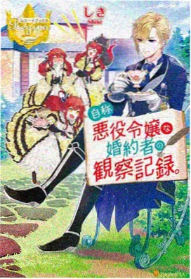 折叠的第三层 皮物漫画封面